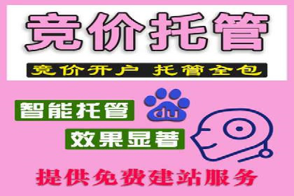 探索sem竞价托管代运营的多个成功案例